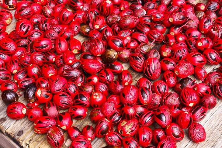 Fresh nutmeg for sale at St. George's Market Square