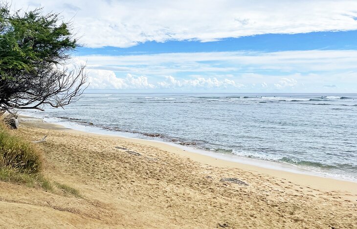 Diamond Head Beach Park