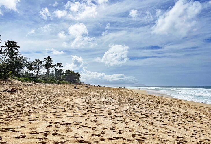 Ehukai Beach