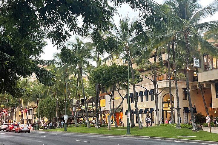 Kalakaua Avenue