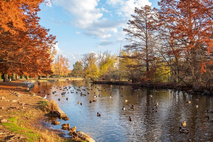 Kathryn Albertson Park