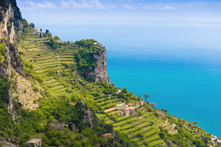 View of lemon tree orchards from the Path of the Gods hike along the Amalfi Coast