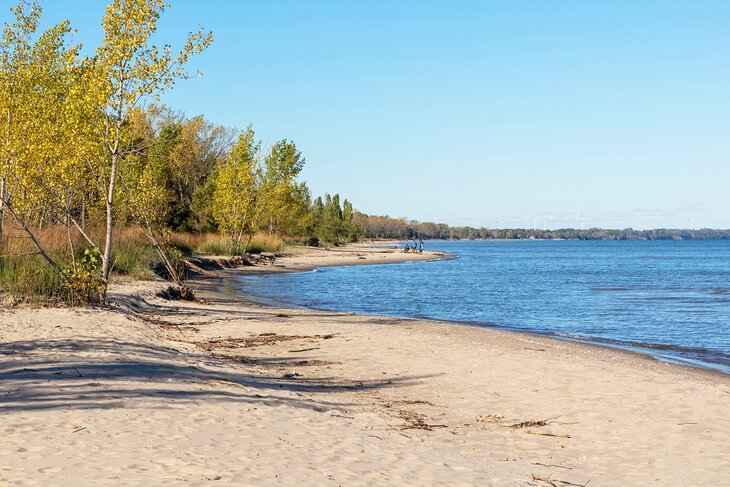 Rondeau Provincial Park