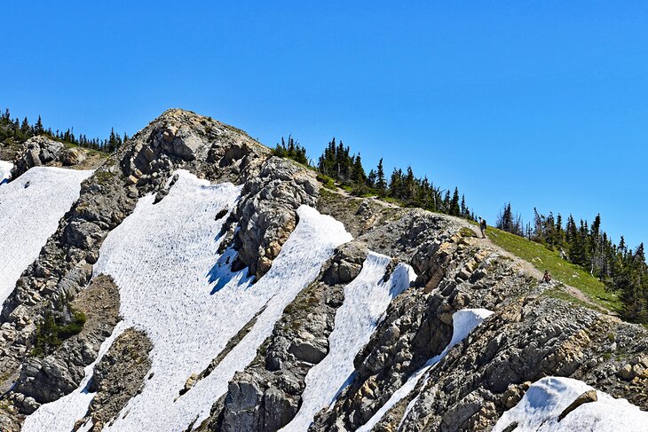 Hiking in Jewel Basin Hiking Area, Flathead National Forest, Montana