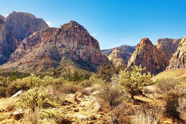 Pine Creek Canyon