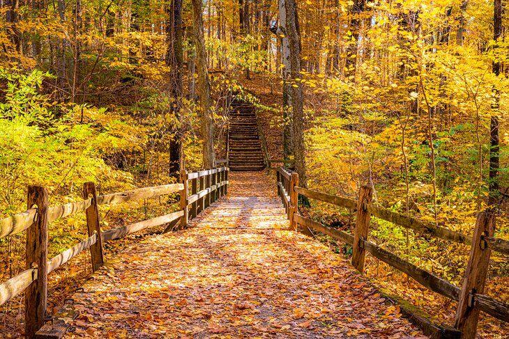 Blendon Woods Metro Park