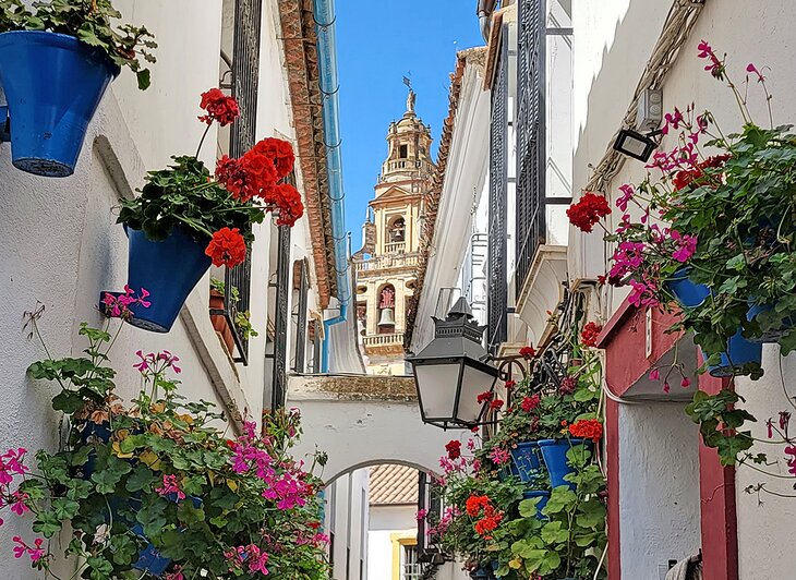 Calleja de las Flores in Cordoba