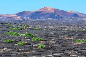 13 Top-Rated Things to Do on Lanzarote
