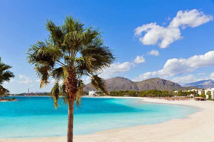 Platja de Alcúdia