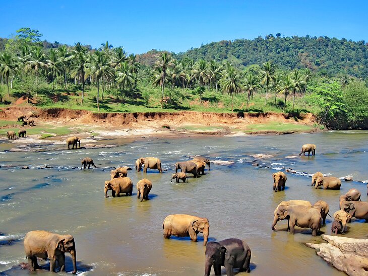 Yala National Park, Sri Lanka