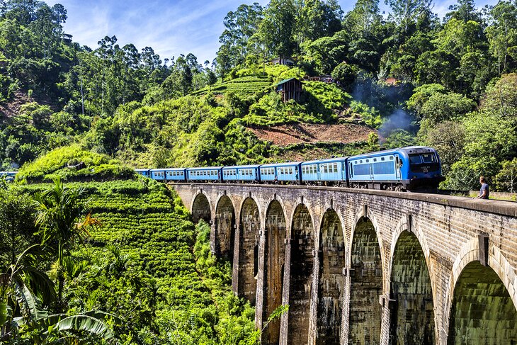 Train passing over the Nine Arches Bridge