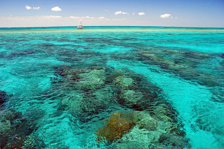 John Pennekamp Coral Reef State Park in Key Largo