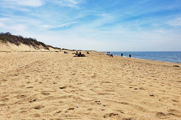 Herring Cove Beach 