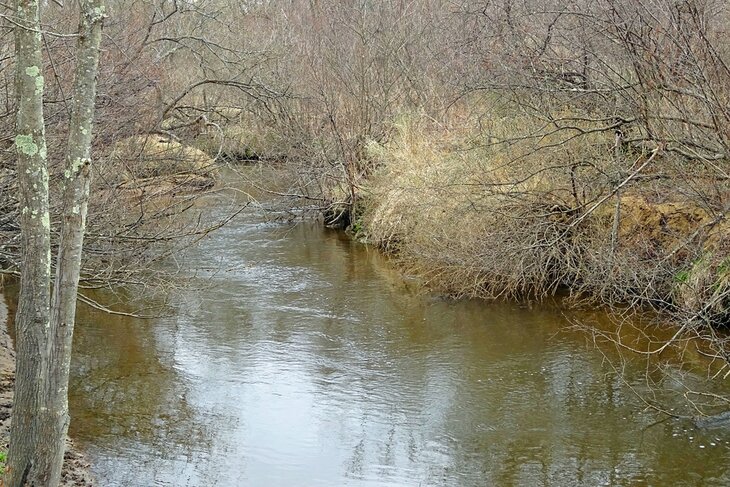 Lowes Creek County Park