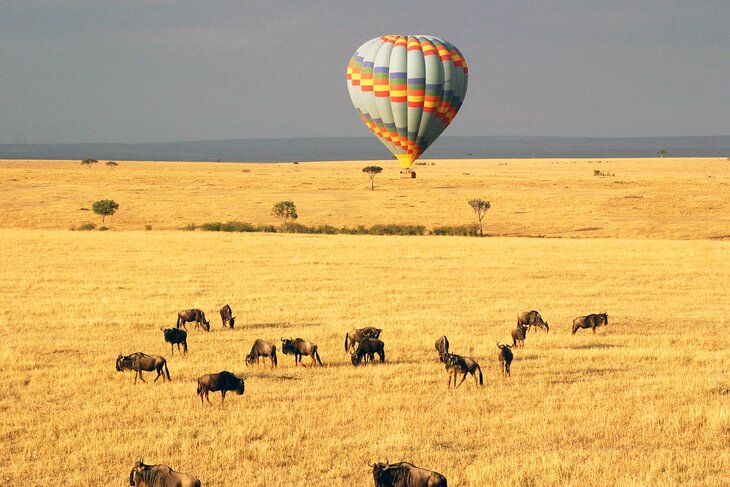 Balloon over Kenya's Masai Mara National Reserve