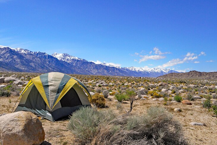 Camping in Lone Pine