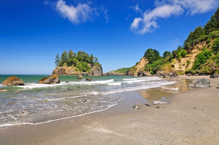 Trinidad State Beach