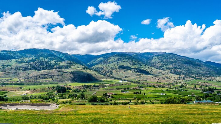 Oliver in the Okanagan Valley