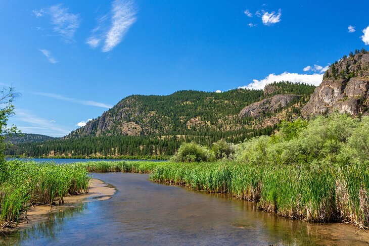 Vaseux Lake Provincial Park