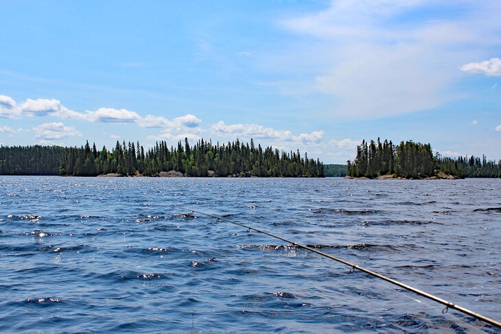 Fishing on Horwood Lake