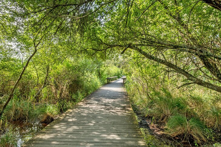 Walking trail in the Réserve Naturelle Nationale des Prés Salés d'Arès-Lège