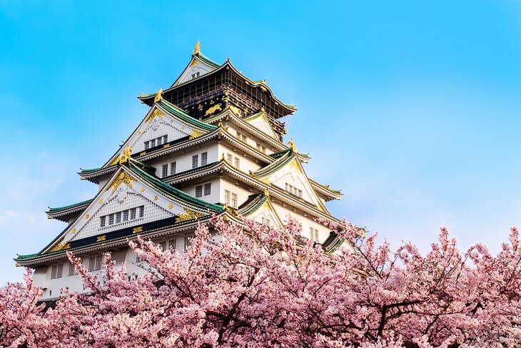 Osaka Castle with sakura blossoms