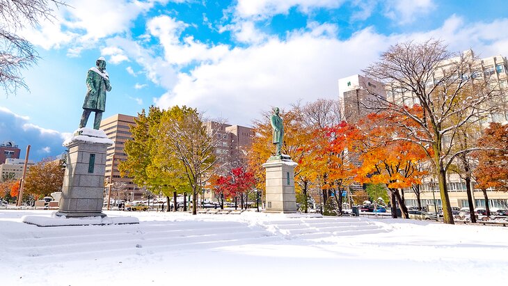 Fall snow in Odori Park, Sapporo, Japan