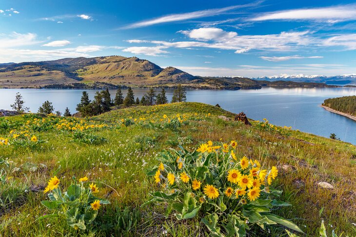 Wild Horse Island