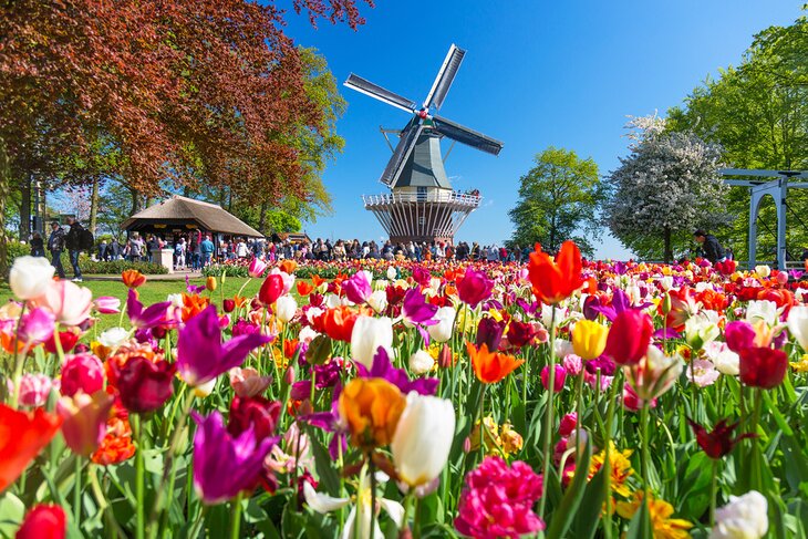 Tulips and windmill at Keukenhof, Lisse, The Netherlands