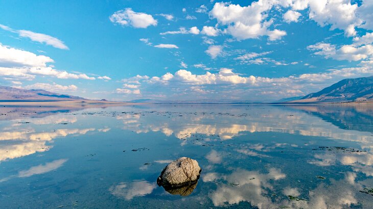 Walker Lake