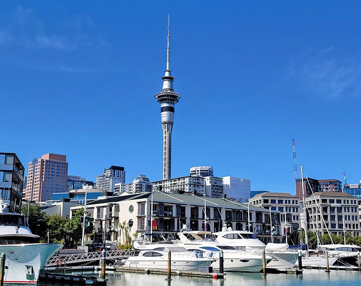 Auckland Sky Tower from the waterfront
