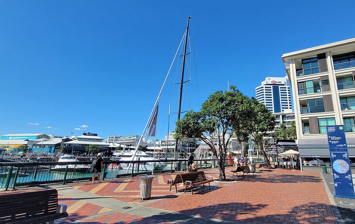 Viaduct Harbour