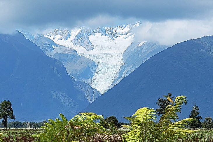 Fox Glacier from Fox Glacier Lookout