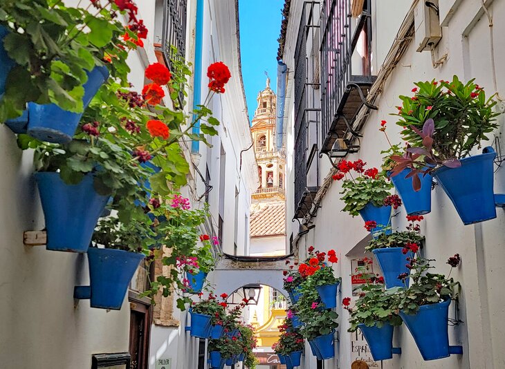 Calleja de las Flores