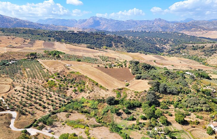 Landscape near Ronda