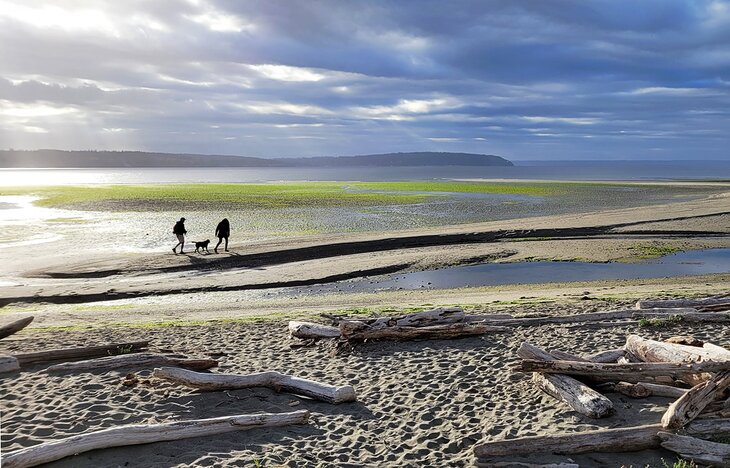 Double Bluff Beach on Whidbey Island