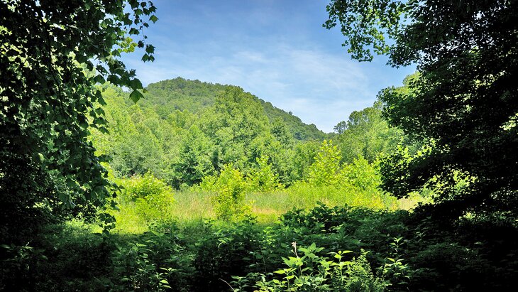 Kanawha State Forest 