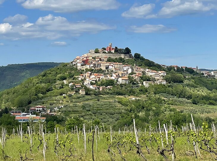 Motovun seen from a distance