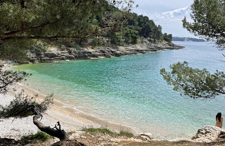 The beach at Gortan's Cove