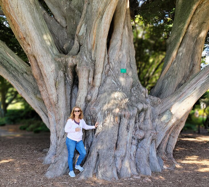 Author Lana Law at the Christchurch Botanical Gardens