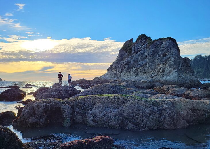 Olympic National Park