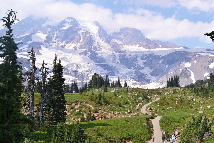 Walking trail in Mount Rainier National Park