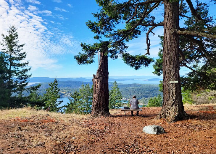 Turtleback Mountain Preserve, Orcas Island