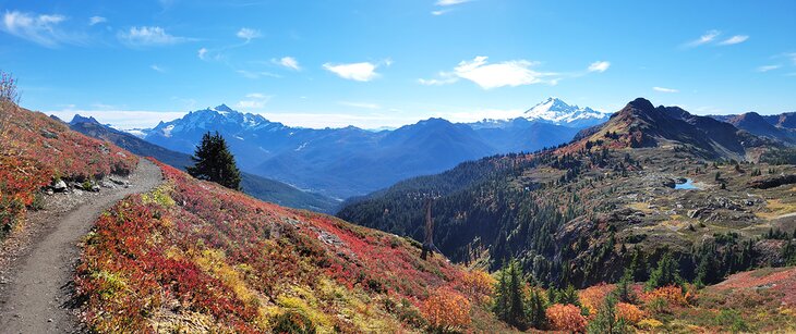 Yellow Aster Butte Trail at Mount Baker