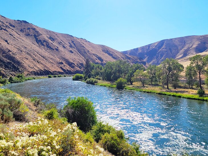 Yakima River Canyon in summer