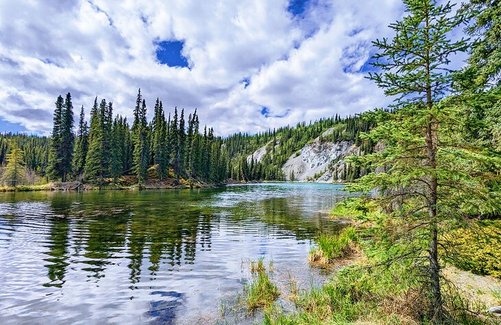 Horseshoe Lake, Denali National Park