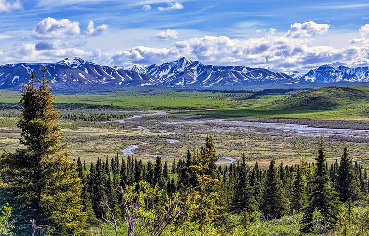 Denali National Park