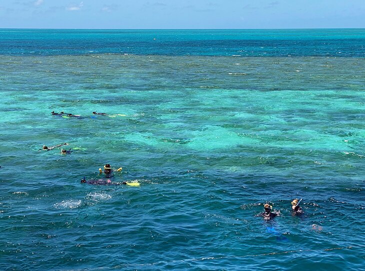 Snorkelers on the Great Barrier Reef