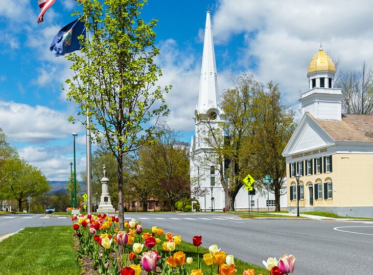 Tulips in bloom in Manchester, Vermont