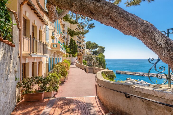 A waterfront street in Monaco 